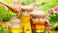 Продам натуральный мёд- разнотравье, прополис, перга.