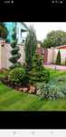 Plante decorative de exterior