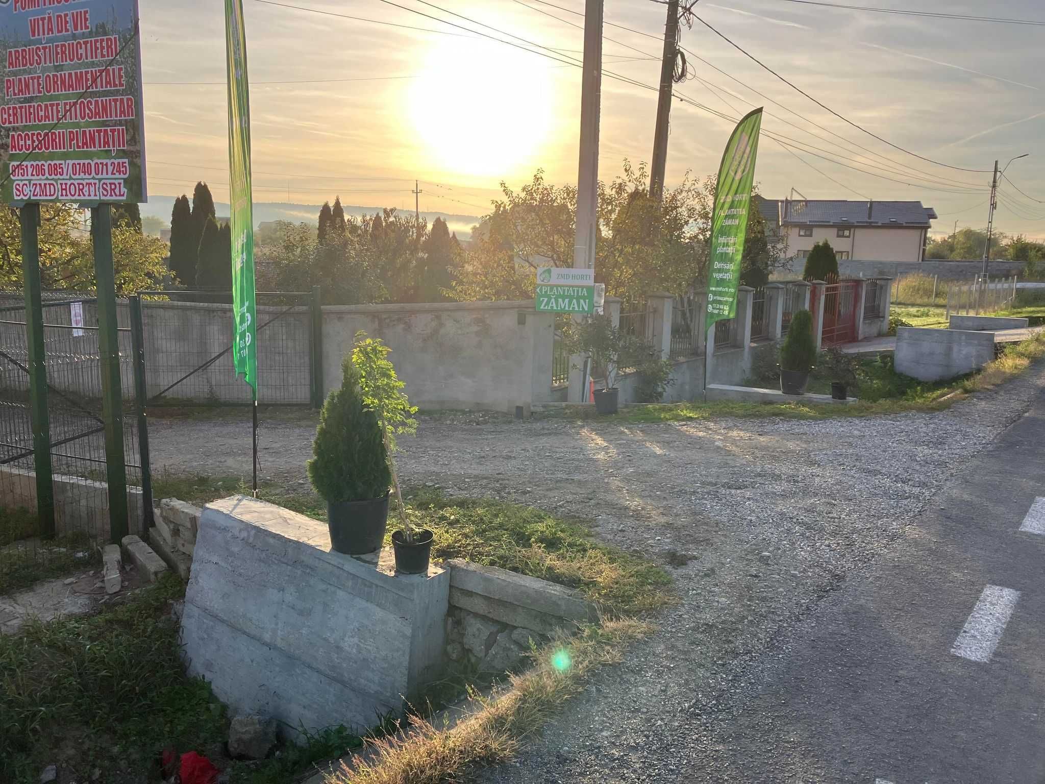 Accesorii plantații pomicole viticole și arbustive , pomi , vie