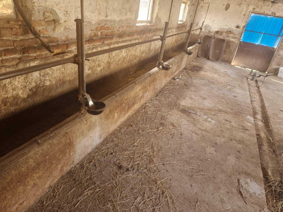 Продава се Къща в с. Тенево, Област Ямбол - 300 кв.м за 184 €/кв.м - Снимка #22