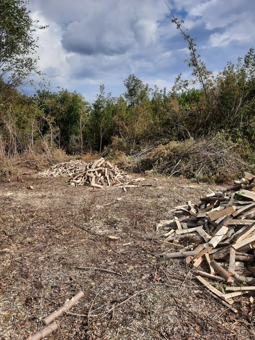 Продам дрова клен.