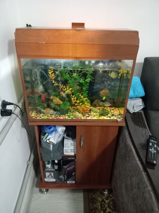 Аквариум в месте с рыбой 8штук разных пород.комплект весь оборудование