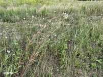 Teren industrial 20800 mp in zona Vest a orasului Sibiu