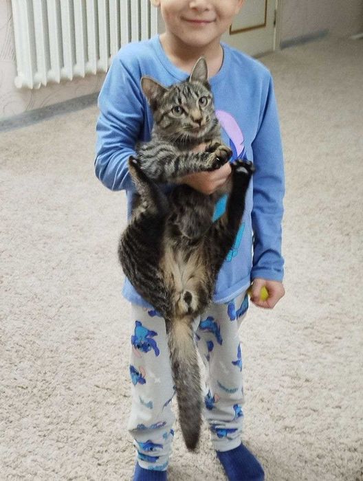 ogil mushukcha ismi mehribon