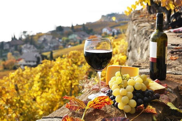 Struguri pentru vin productie 2025 Transport la domiciliu