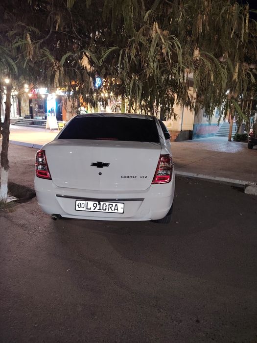 Кобольт 2021/2022