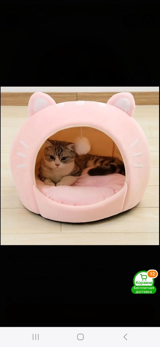 Кошачий дом, Дом для кошки