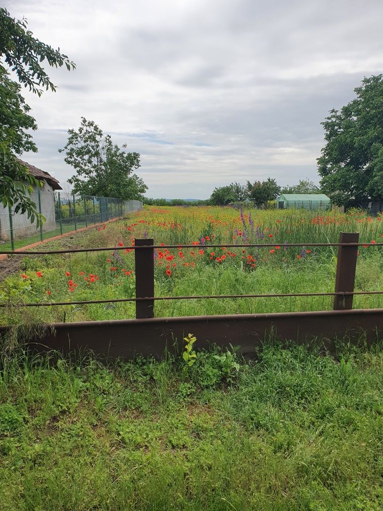 Vând teren bine poziționat în sat Vărăști județul Călărași