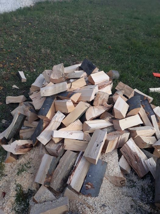 Vand lemne de foc buștean fag