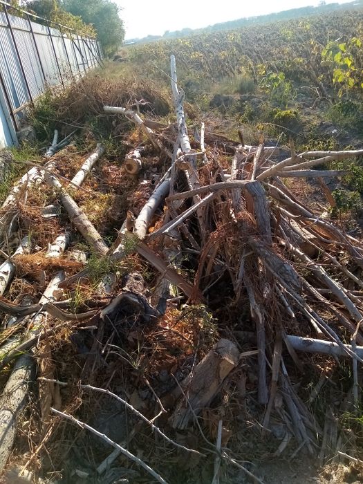 Утин сотилади коп