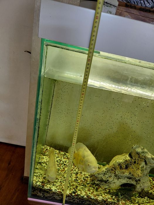 Аквариум с шкаф ш40 см 55см 80см аквариум 40см.   80см. В 80см.