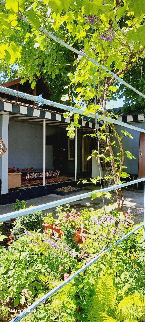 Dacha arenda bochka chorvoq