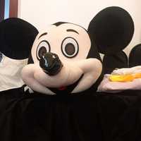 Mascota Mickey Mouse