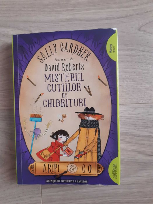 Carte "Misterul cutiilor de chibrituri"