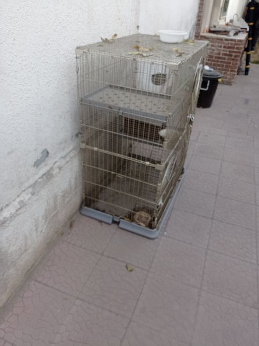 Клетка для животных