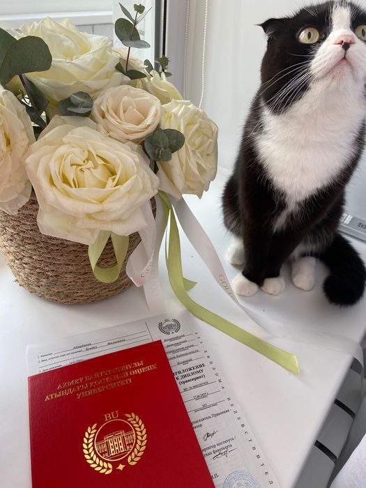 Репетитор английского и французского языков