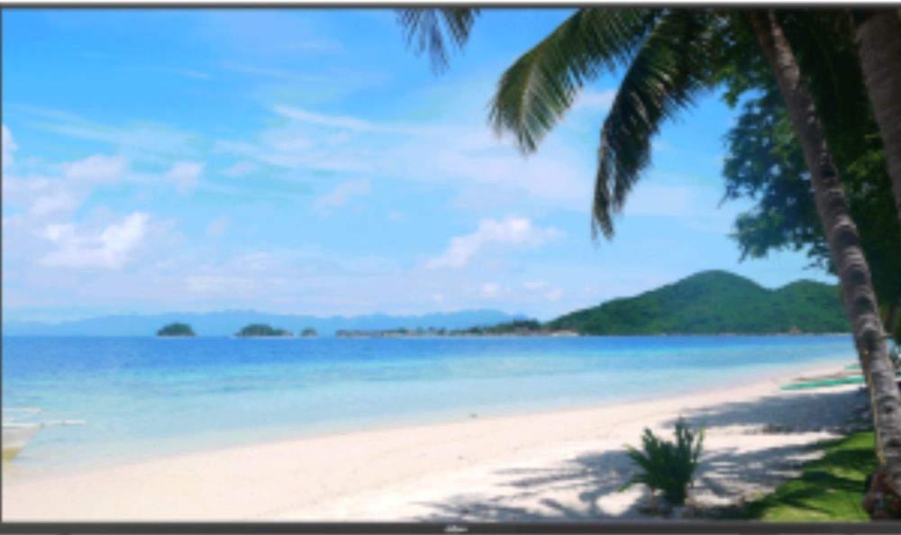 Monitor 55 inch UHD 4K Operare 24/7 Dahua LM55-F400