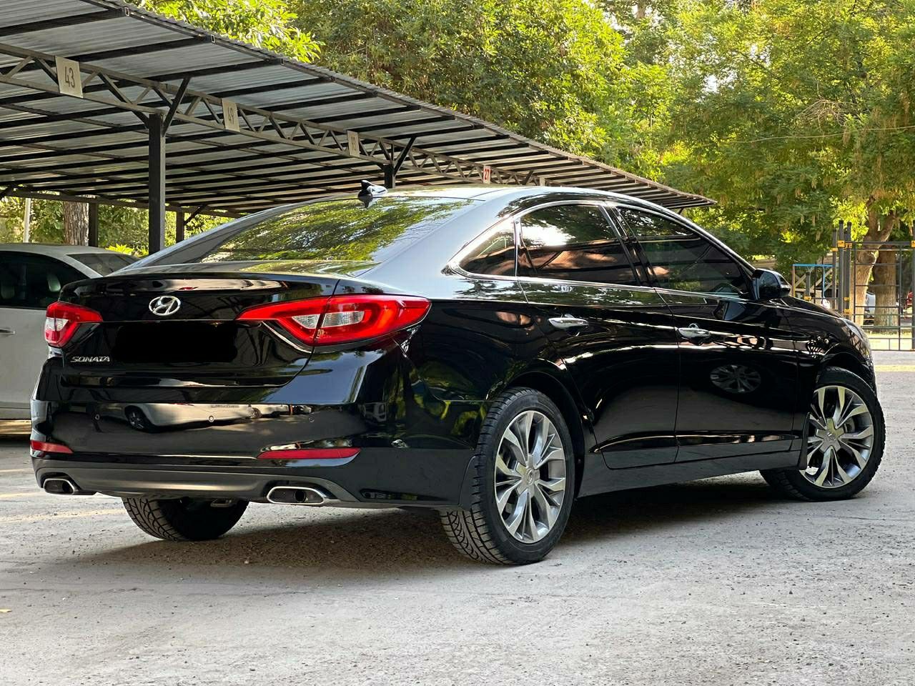 Sonata 2015 родная