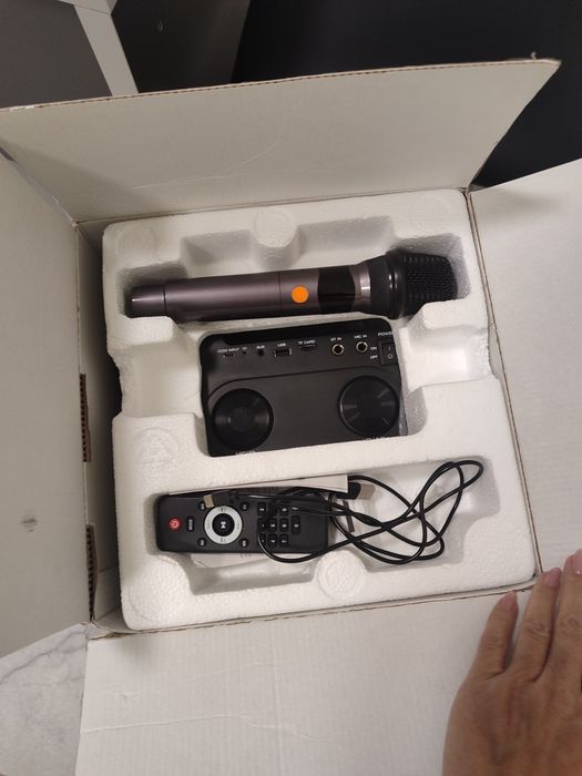 Колонка с микрофоном