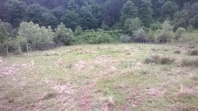 Продава се Парцел в с. Панчарево, Област София-град - 2482 кв.м за 130 €/кв.м - Снимка #1