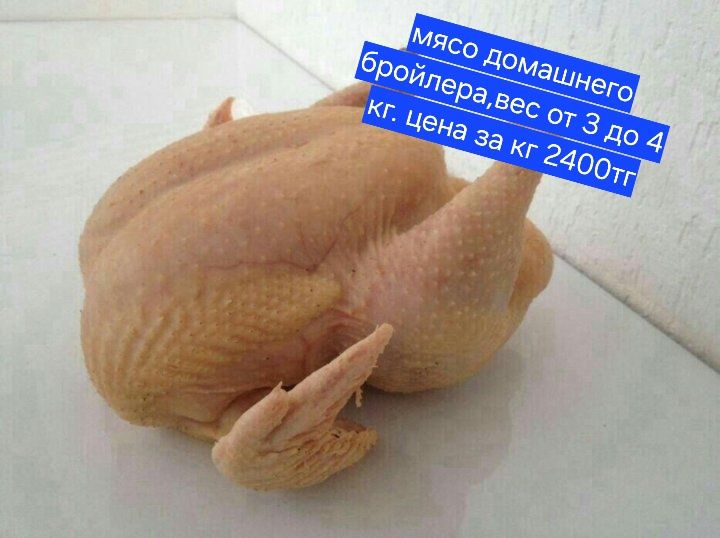 Мясо домашнего бройлера