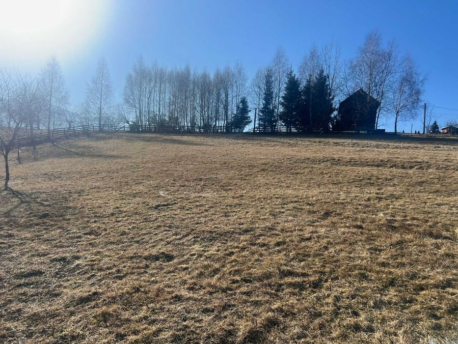 Vand Teren Bran - Sohodol | Brasov | 2000 MP