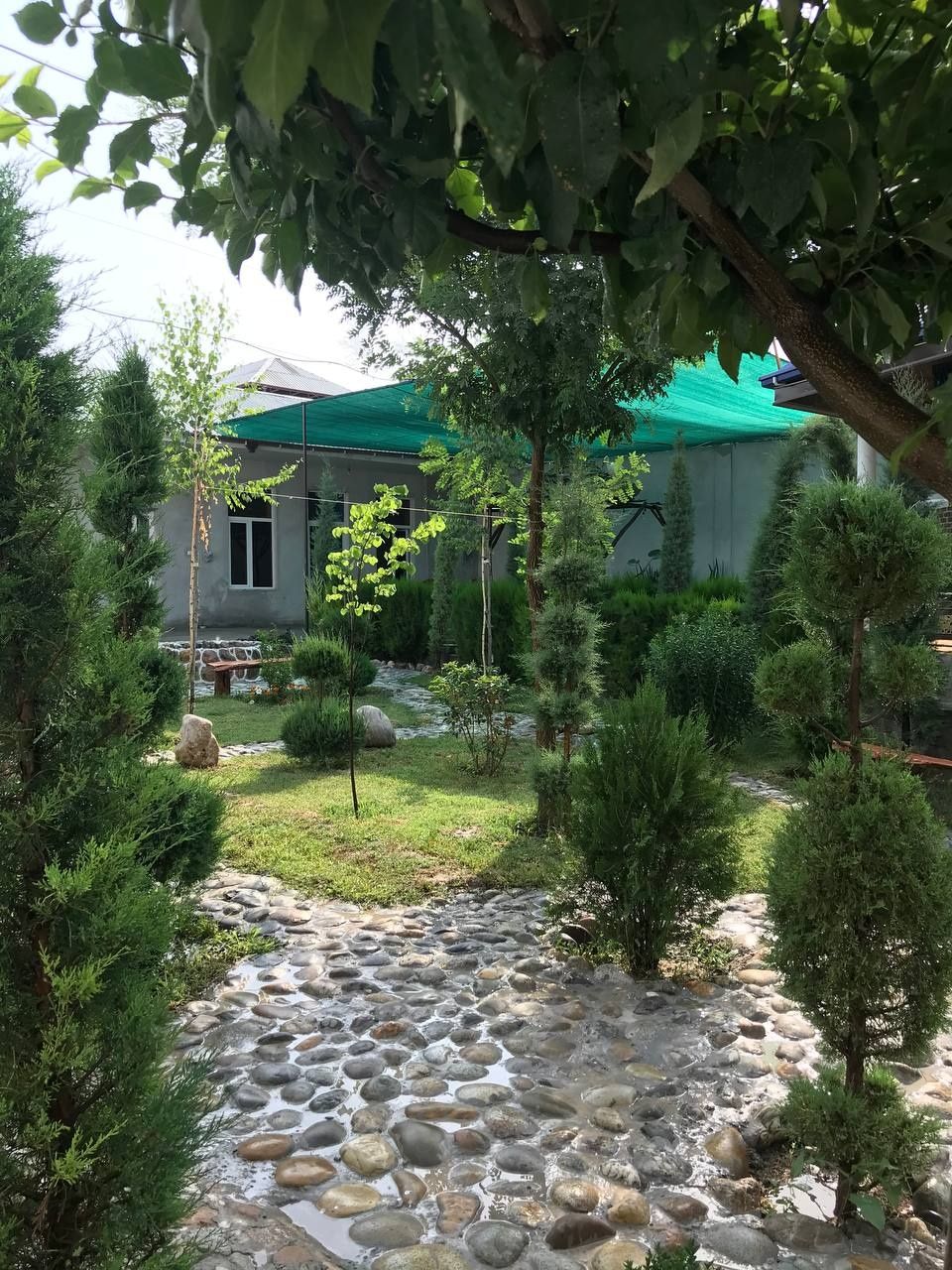 Golden dacha yangi hayotda