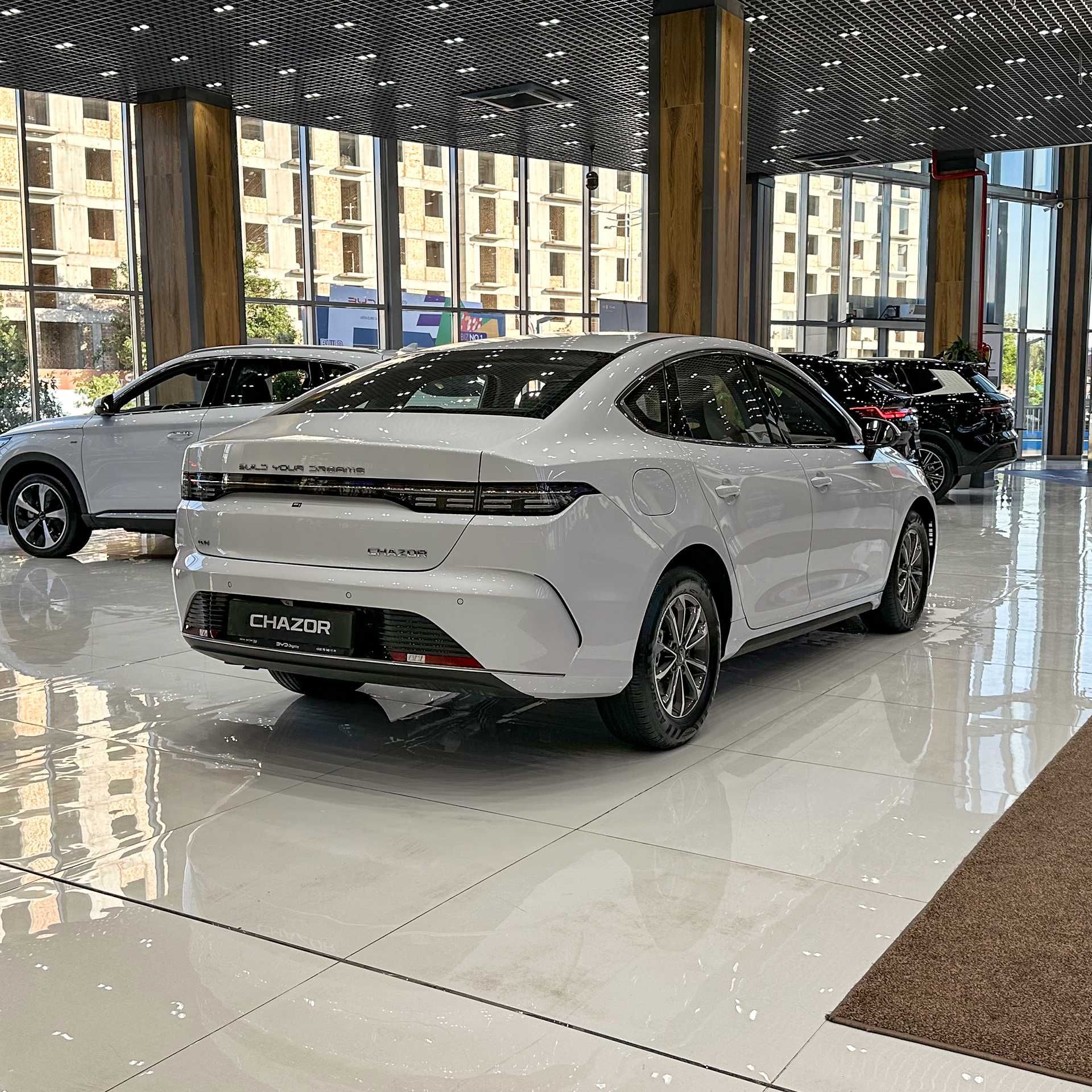 BYD Chazor Champion 55km luxe