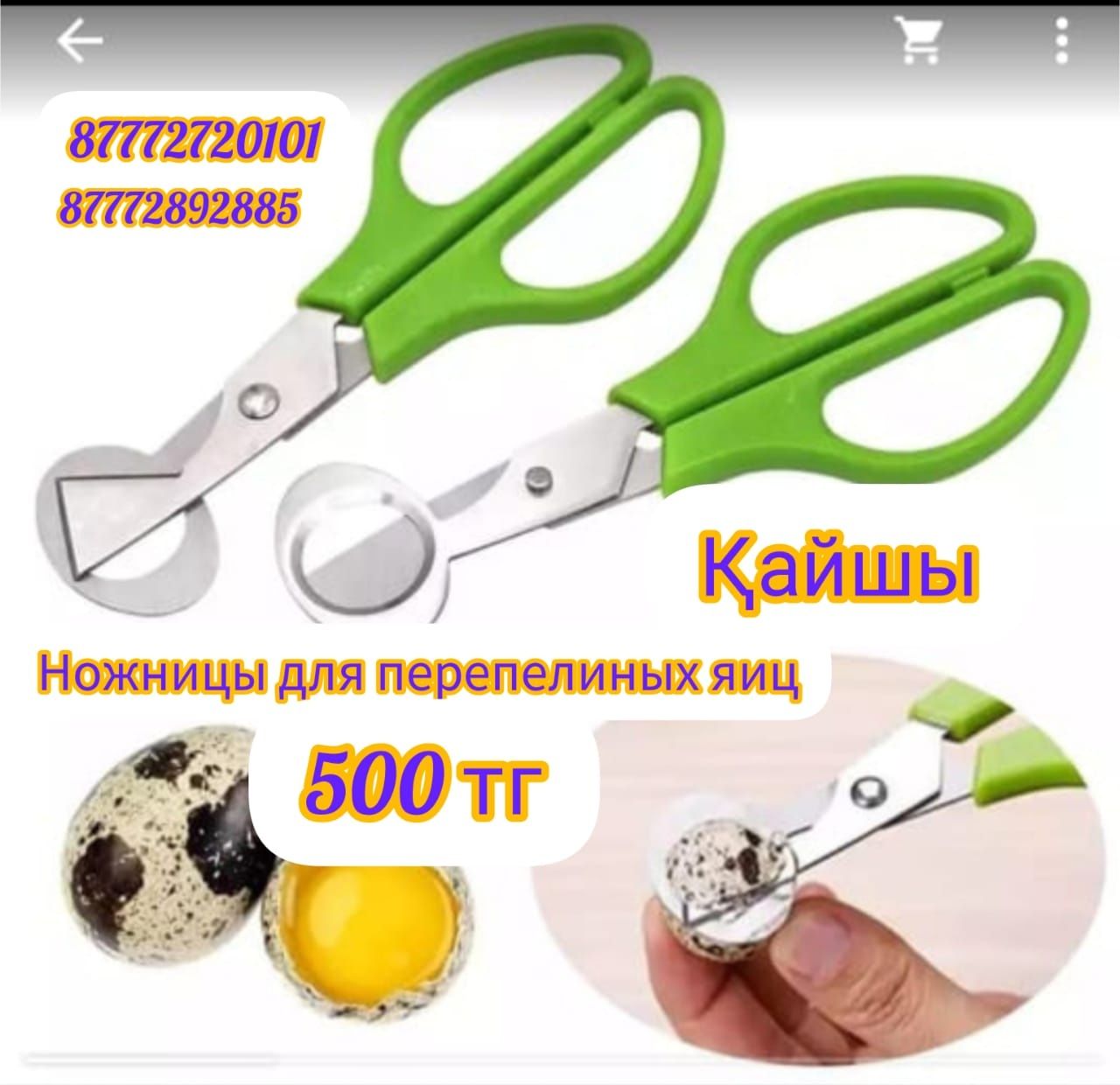 Ножница для перепелиных яйц вскрытие