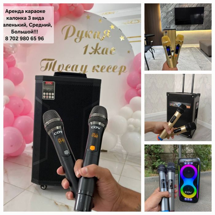 Аренда караоке калонка и мекрафонов