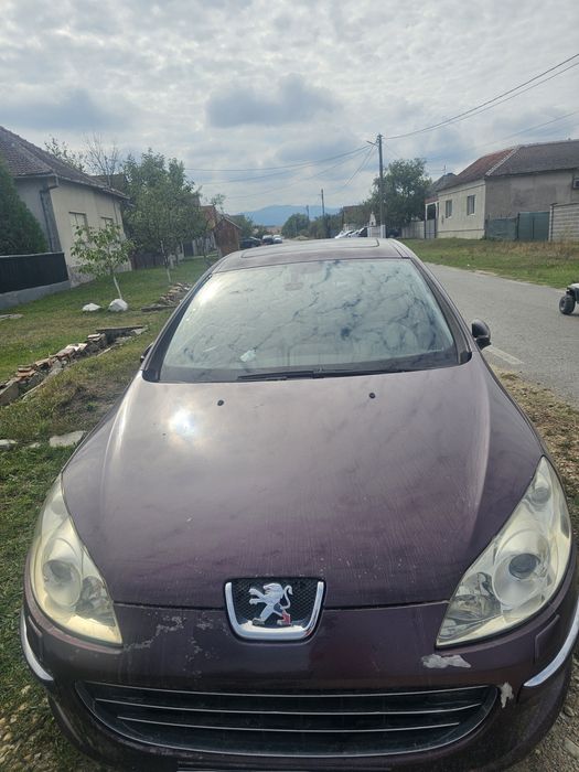 Vand Peugeot 407