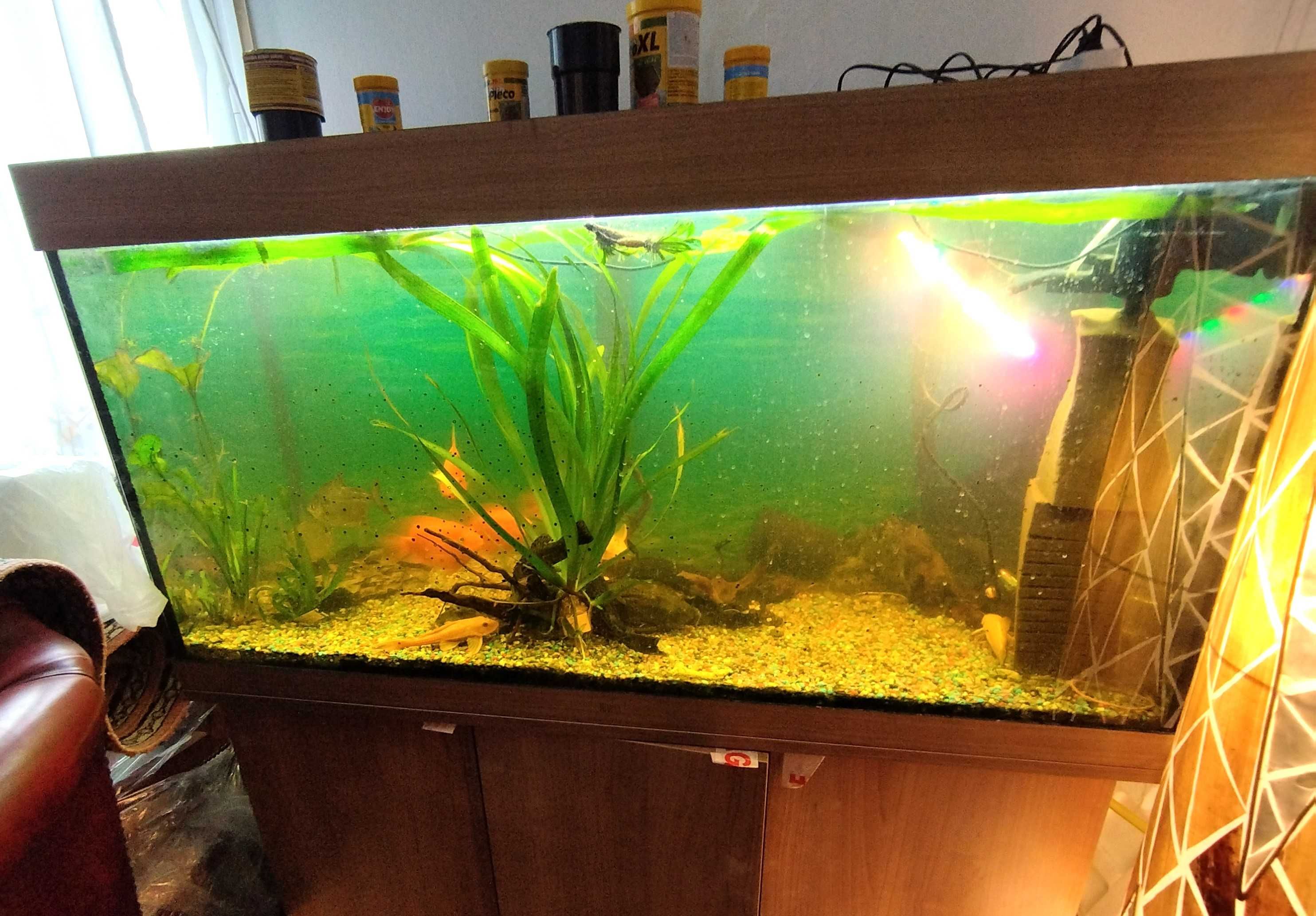 Acvariu JUWEL 350 litri cu stand dedicat original