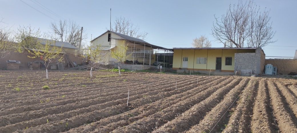 Катта ховли 20 сотих...
