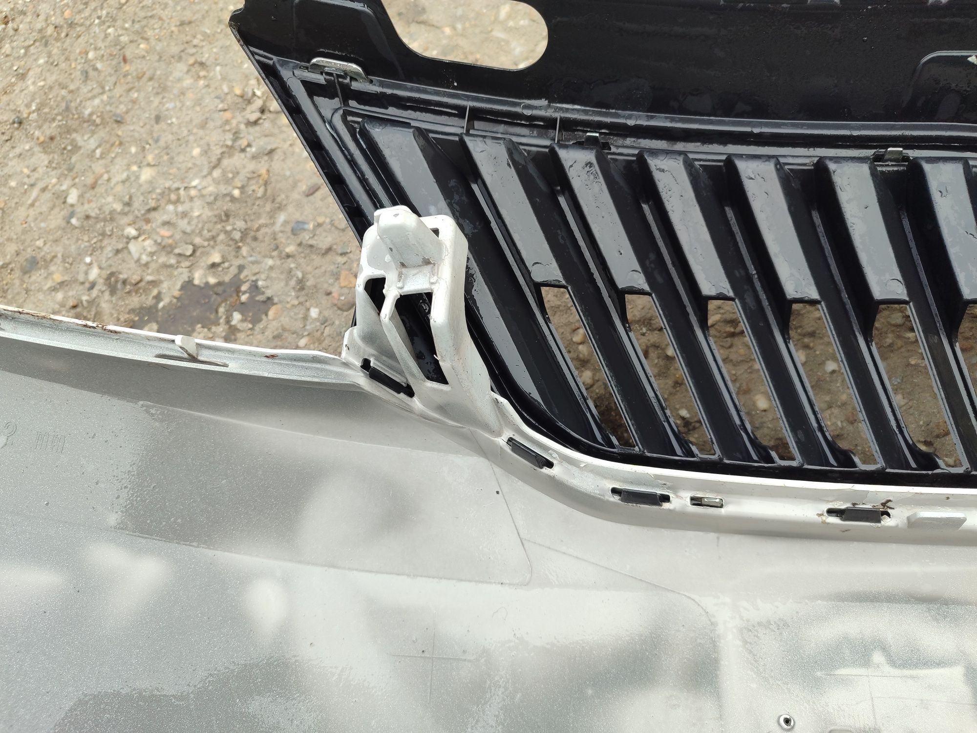 Bara fata Skoda Rapid