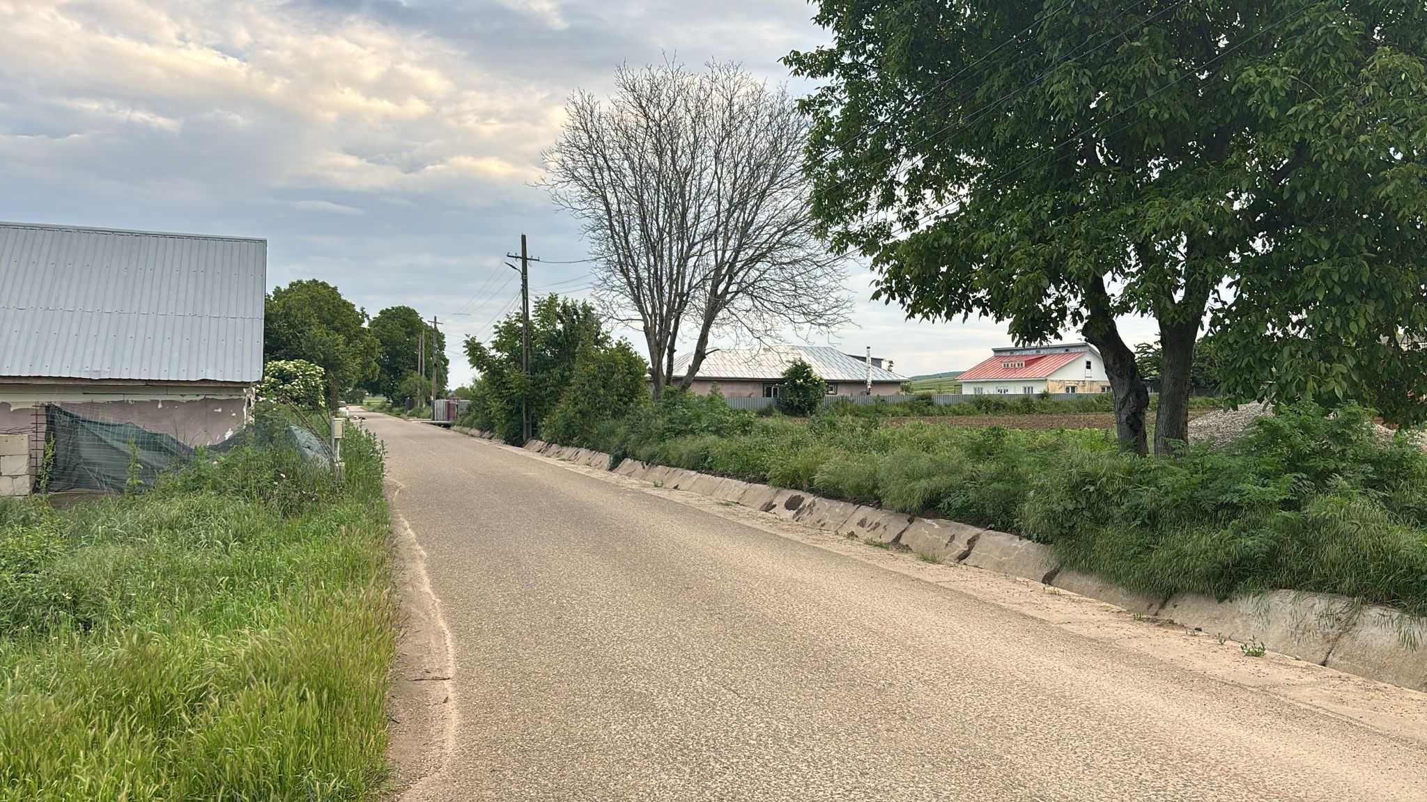 Teren de vânzare pentru casă / 2000 mp / Ocazie unică