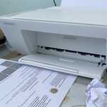Принтер hp доступная цена