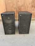 Vand basi Coda Audio PW215 ( DUBLU 15 )