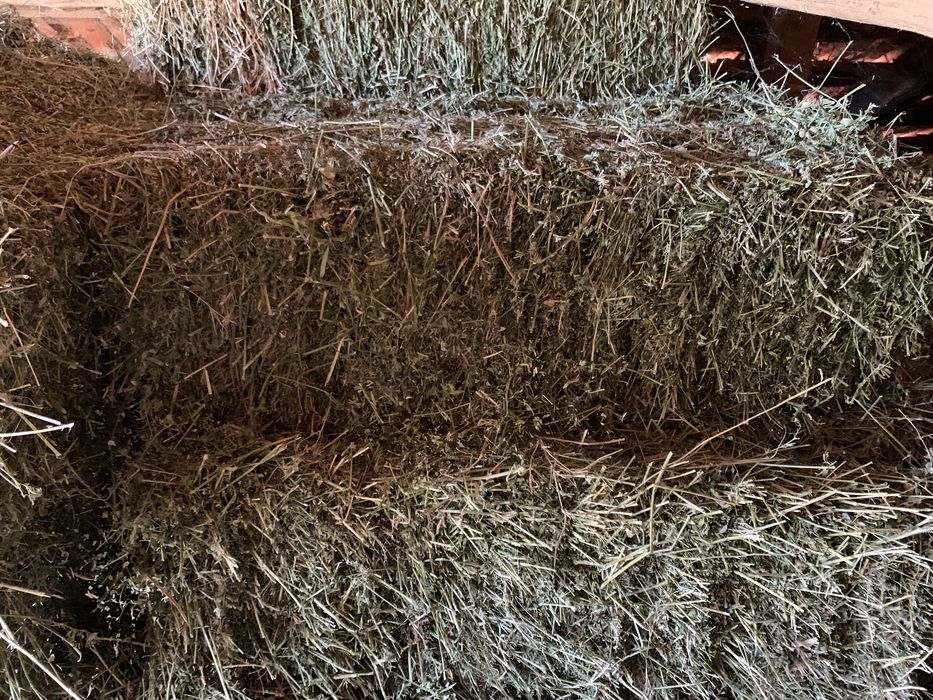 Baloți lucernă și ovăz