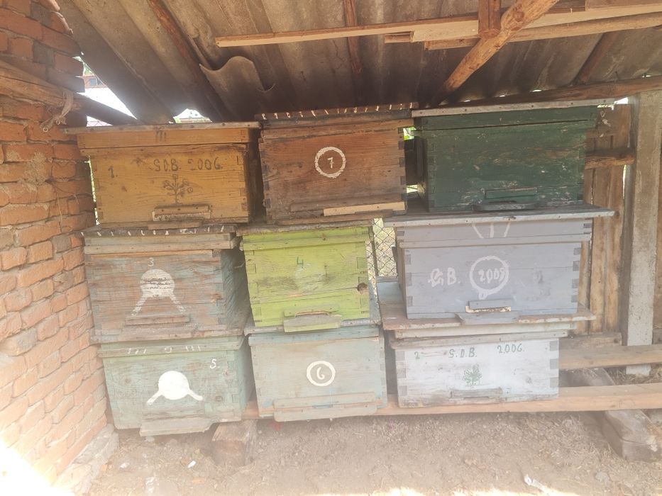 Lăzi de stupi pentru albine.