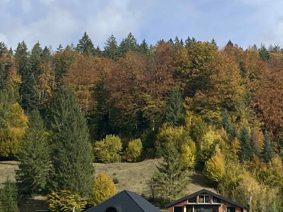 Vand teren in Voronet