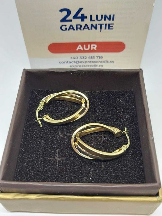 Cercei aur 14k 3.78g (33661/30 Pacurari 2)