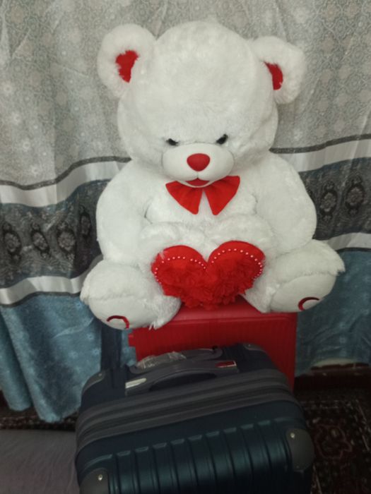 Ayiqcha sotiladi yangi