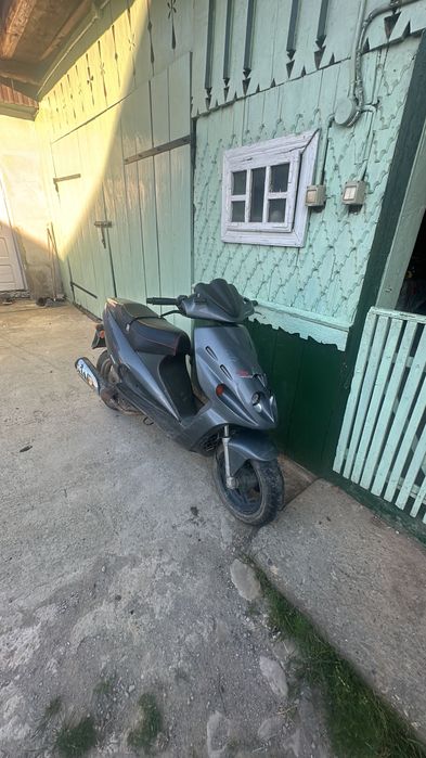 Vând malaguti f12