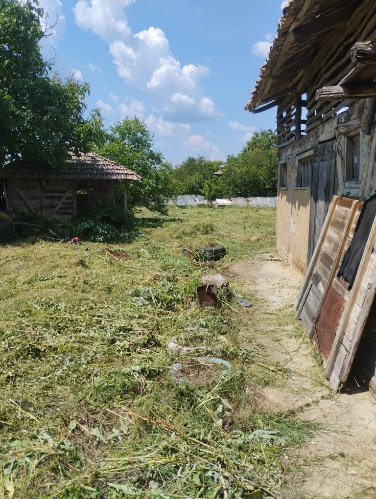 Косене , почистване на дворове ,рязане на дърва за огрев!