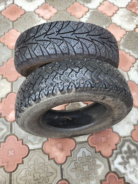 Продам два шиповник балона на 13