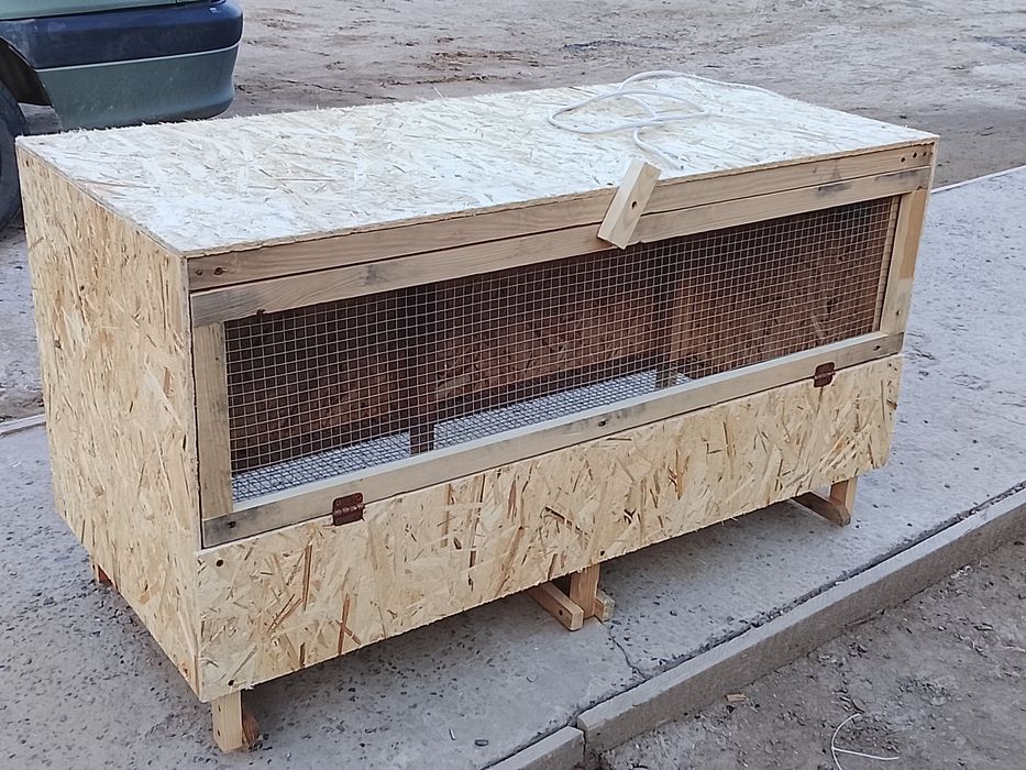 Брудер для цеплята