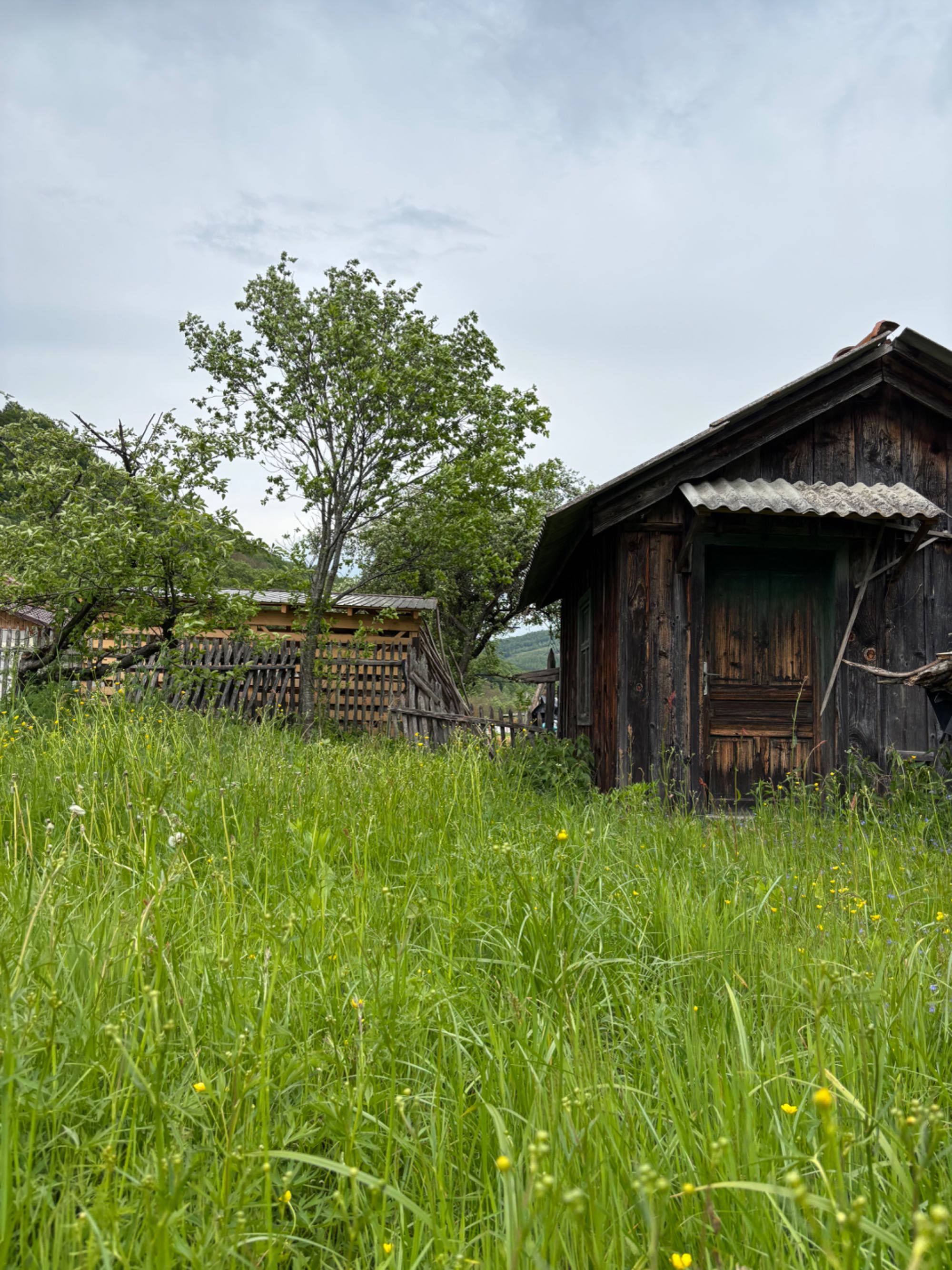 Vând casă și teren în Munteni, comuna Bulz ( Bihor) cu ieșire la DJ
