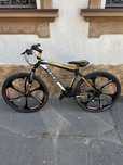 Bicicleta BMW