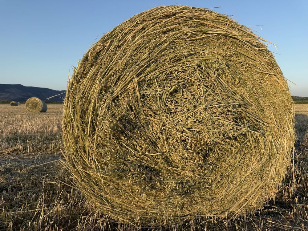 Рулонни бали люцерна,ливадно сено,просо,овес и др.!
