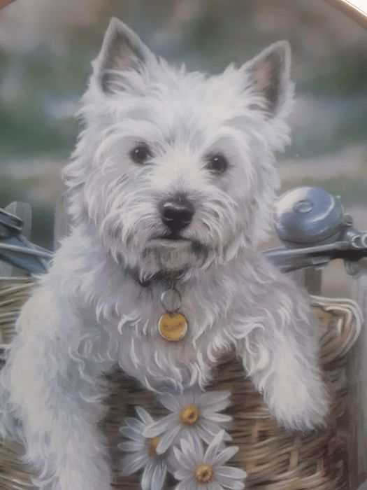 Farfurii decorative,cu certificat de origine